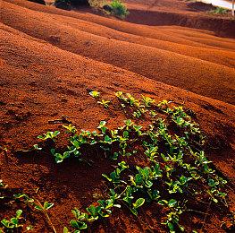 《战地2042》PC、PS5、XSX＆S画质对比 XSS在主机中帧数更稳